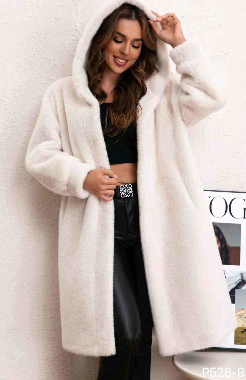 L&Y-Vinceotto-P-528-#OF19