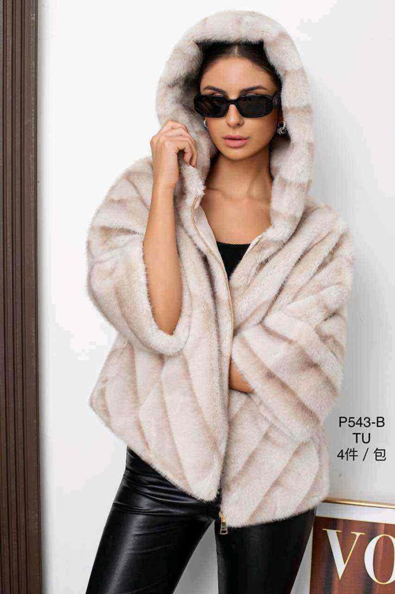 L&Y-Vinceotto-P-543-#M27