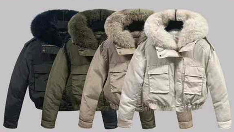 Giubbotto donna Z-Design all'ingrosso modello H-816 - L&Y