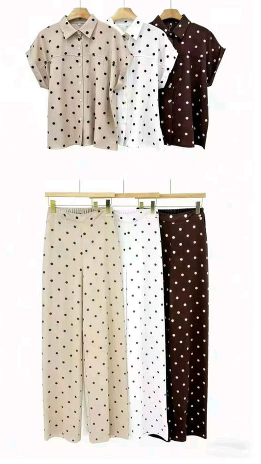 L&Y-Vinceotto-K123-#S14