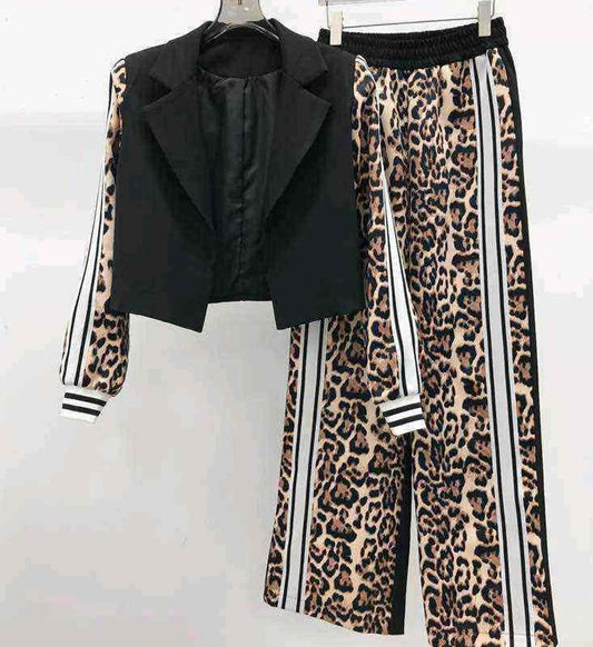 L&Y-Vinceotto-B56773-#S5