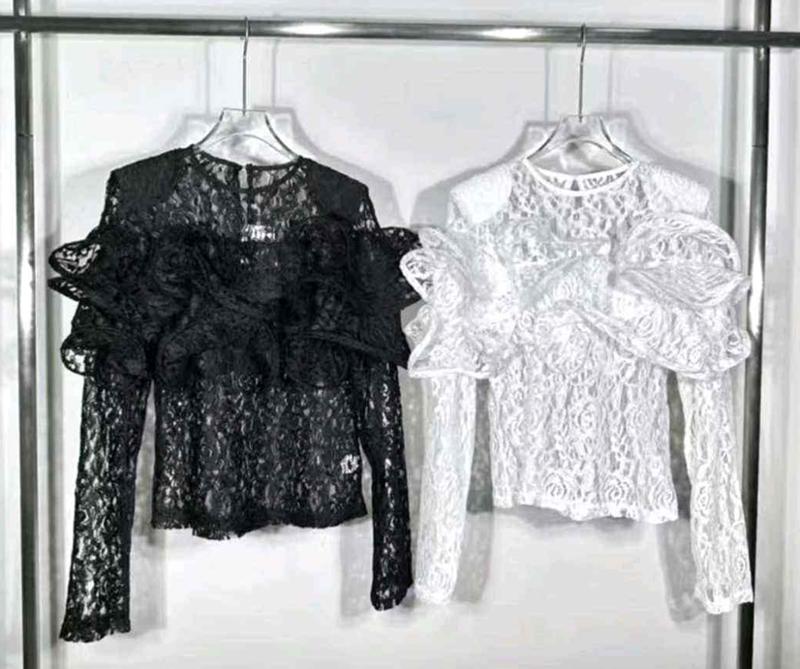 L&Y-Vinceotto-S-06057-#S5